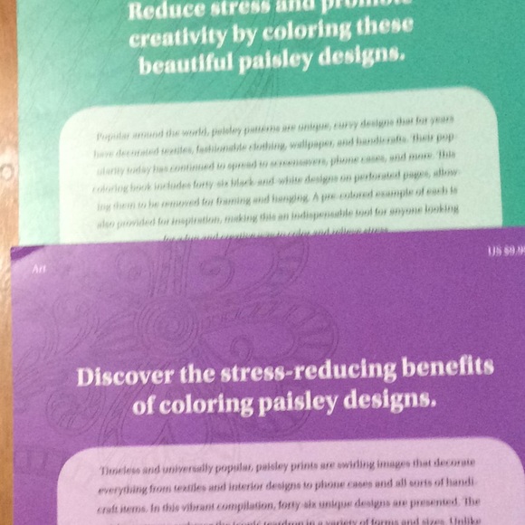 NWT 2 Paisley Coloring Books.  8 1/2 x 11”.  Fun - Picture 4 of 4